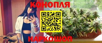 бошки Гусев
