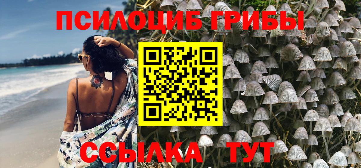 Псилоцибиновые грибы Cubensis  Люберцы 