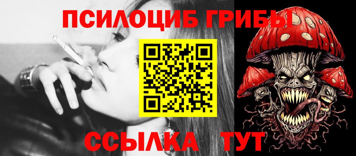 Галлюциногенные грибы Psilocybine cubensis  Вход с VPN  Люберцы 